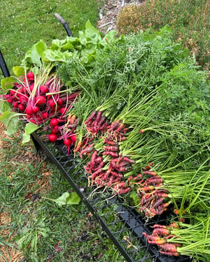 B and T Farmers Market