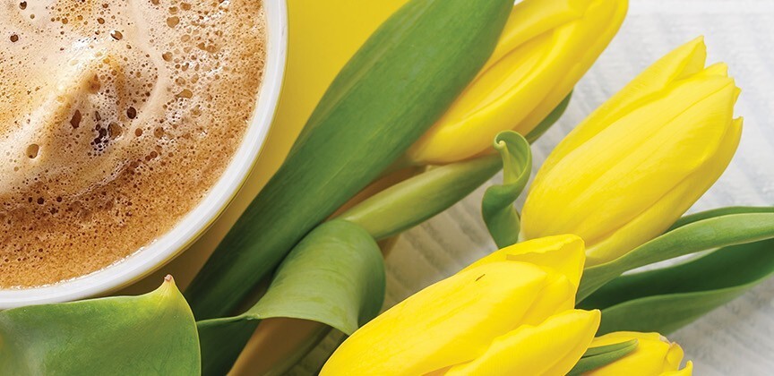 Spring 2026 marks 20 years of the Buzz Book in print in NW Ohio